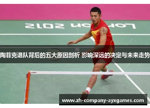 陶菲克退队背后的五大原因剖析 影响深远的决定与未来走势