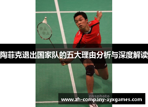 陶菲克退出国家队的五大理由分析与深度解读